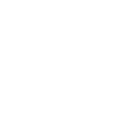 temperature controller icon